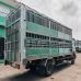 Xe tải isuzu FRR650 chở gia súc